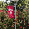 Temple Flag and flowers