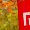 Temple flag and fall leaves