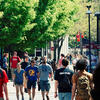 Students walking on campus